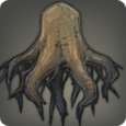 Kuzdu Root