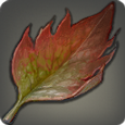Red Landtrap Vine