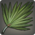 Carnauba Leaf