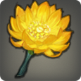 Nopaliflower